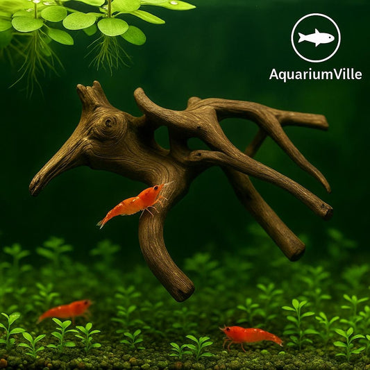 Spiderwood, One 6-8 Inches, Natural Aquarium Hardscape for Aquascaping and Planted Tanks
