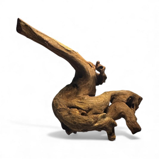 Coral aquarium driftwood with a tall upright branch and curved base, natural hardscape wood for aquascaping, planted tanks, shrimp and betta aquariums.