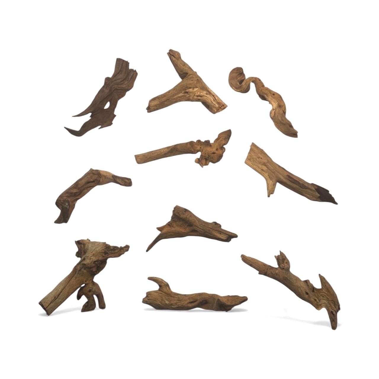 Multiple pieces of natural coral driftwood arranged on a white background, showing various shapes, textures, and sizes for aquascaping, shrimp tanks, betta tanks, and nano aquariums.