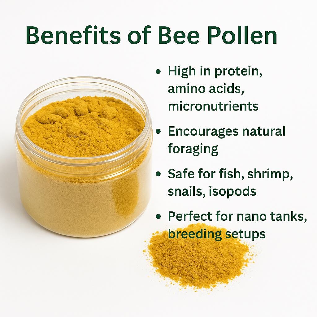 Open jar of bee pollen powder on a white background with a small pile of powder beside it, shown next to text listing benefits of bee pollen for aquarium fish, shrimp, snails, and isopods.