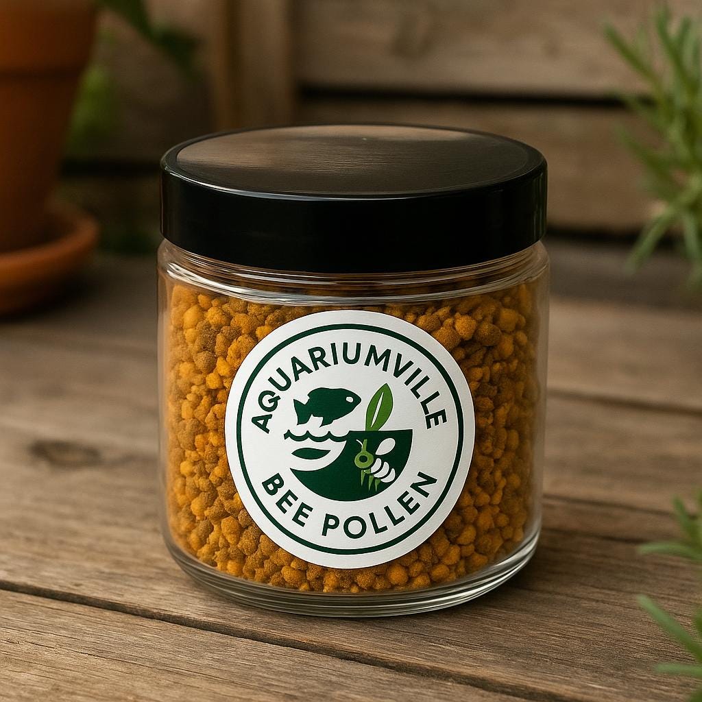 AquariumVille Bee Pollen granules shrimp food in a clear jar with logo, shown in a warm natural background.