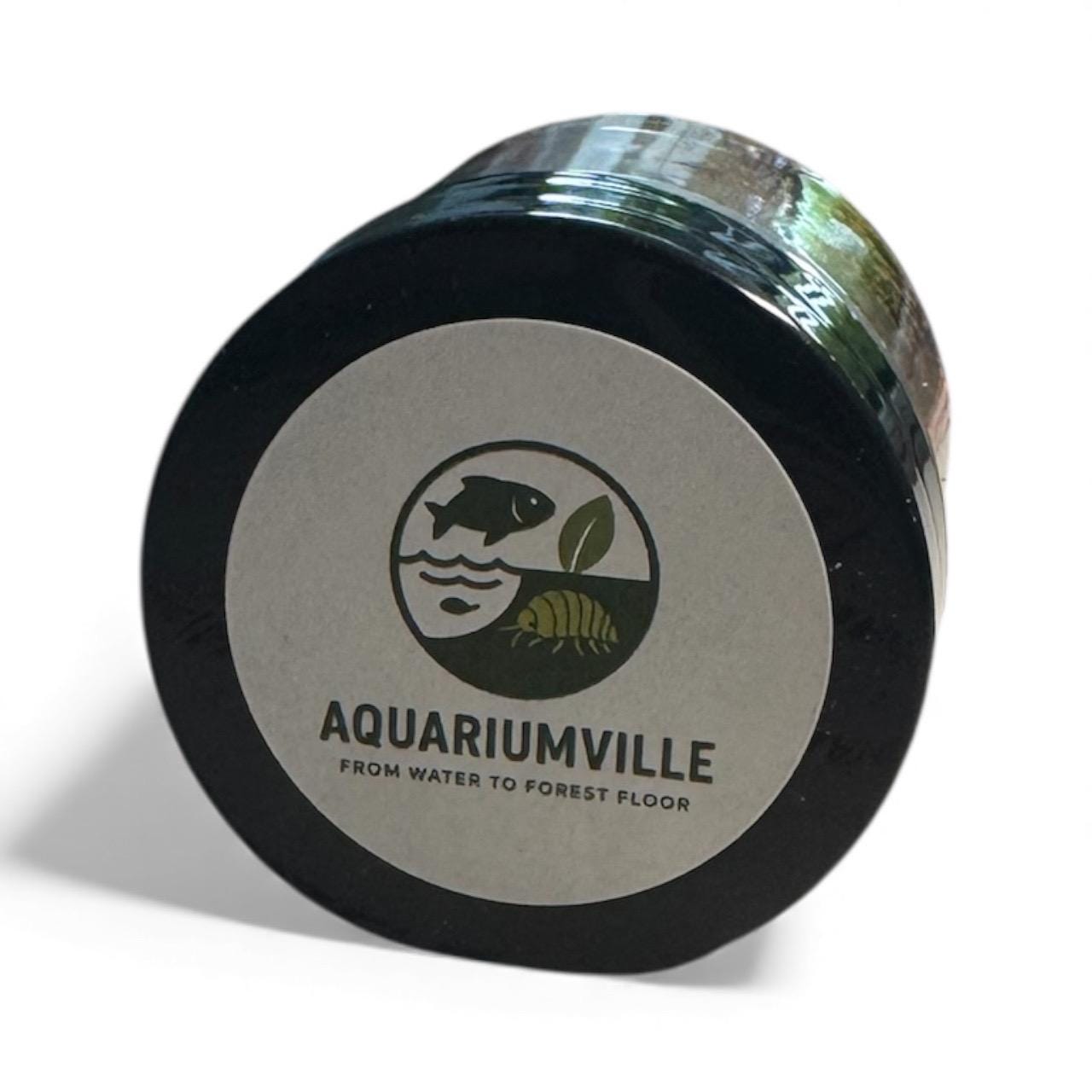 Powdered Fry Fish Food – High-Protein Formula