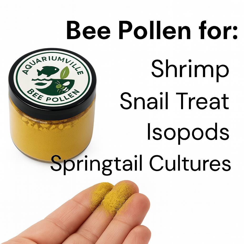 Bee pollen jar with AquariumVille label shown on a white background, with text listing uses for shrimp, snails, isopods, and springtail cultures, plus a hand holding a pinch of bee pollen powder.