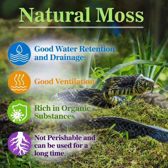 Natural moss infographic with colorful icons highlighting water retention, ventilation, organic richness, and long-lasting use over a moss-covered habitat background