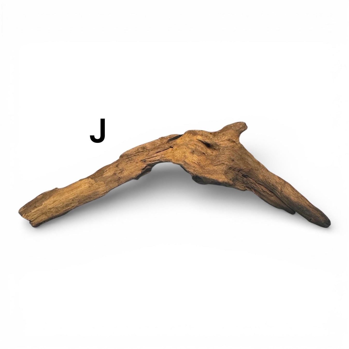 Coral Driftwood (6-8 Inches) – Natural Aquarium Wood for Aquascaping, Shrimp, Betta, and Nano Tanks | AquariumVille