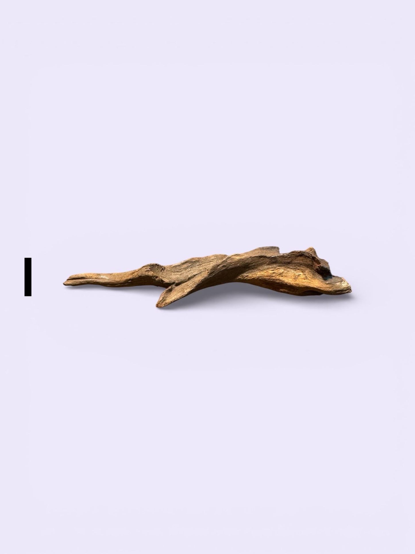 Coral Driftwood (6-8 Inches) – Natural Aquarium Wood for Aquascaping, Shrimp, Betta, and Nano Tanks | AquariumVille