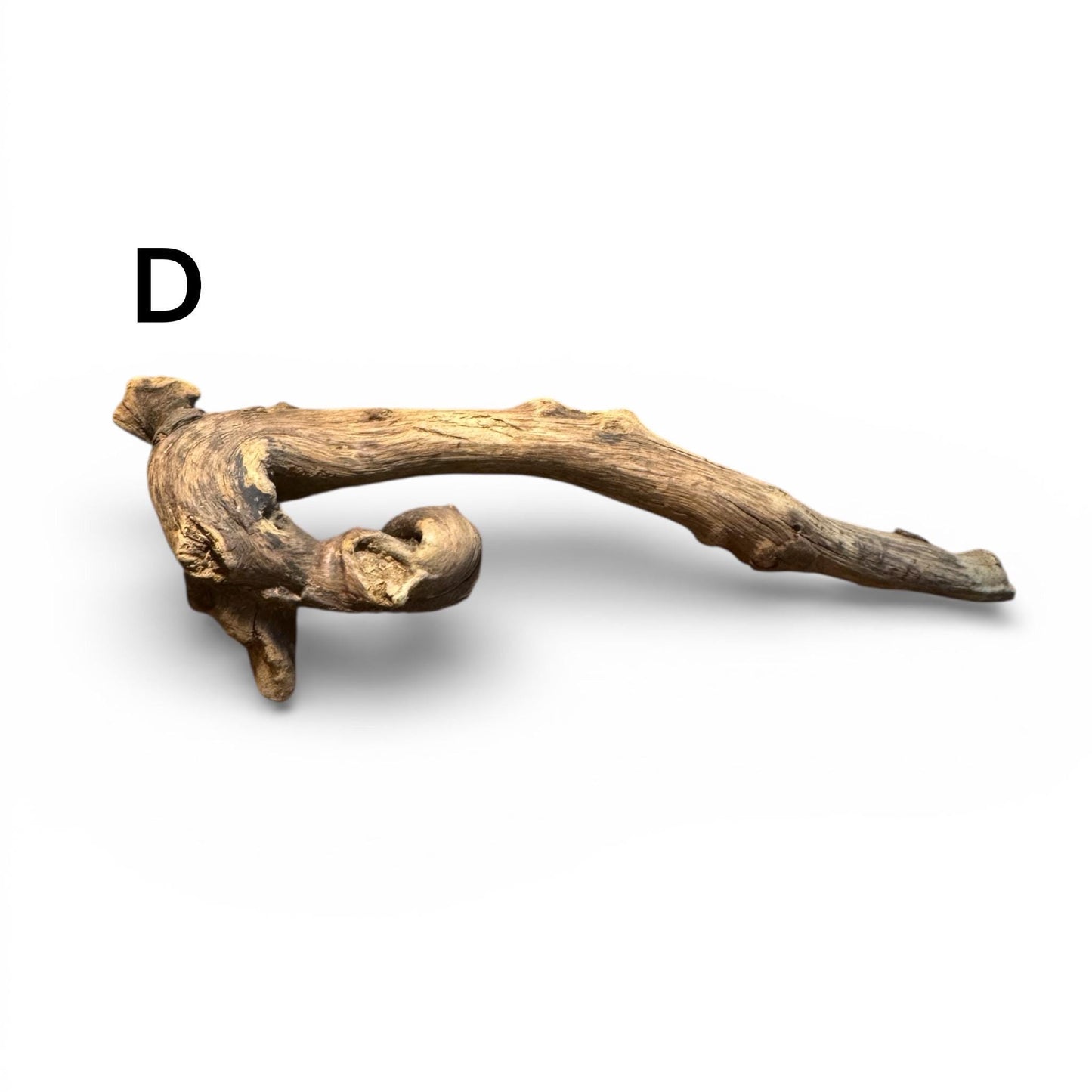 Coral Driftwood (6-8 Inches) – Natural Aquarium Wood for Aquascaping, Shrimp, Betta, and Nano Tanks | AquariumVille
