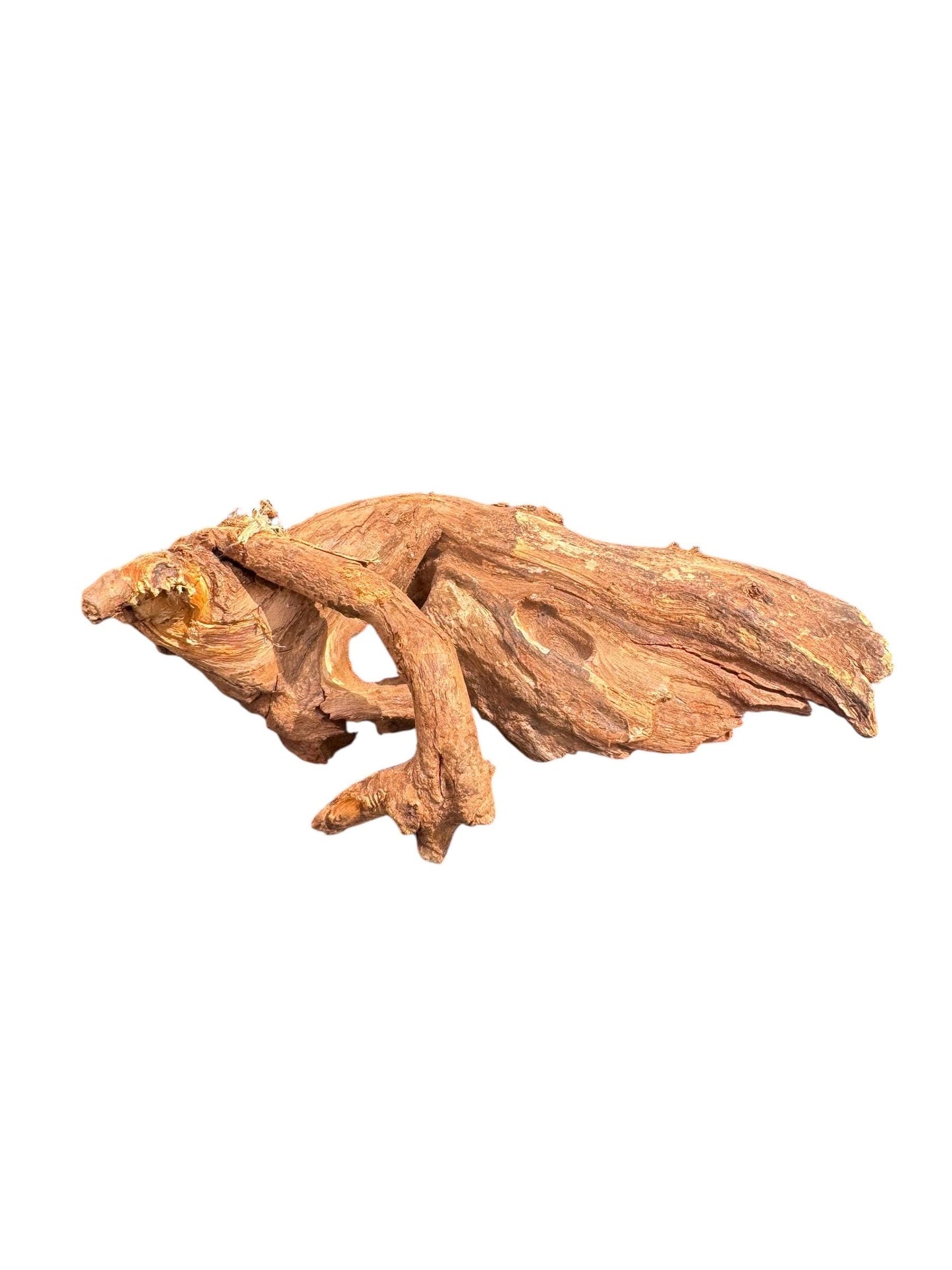Mopani Wood Driftwood Pack (3 or 5 Pieces) – Aquarium Wood for Aquascaping, Fish Tank Decor, Betta & Shrimp Tank Hardscape