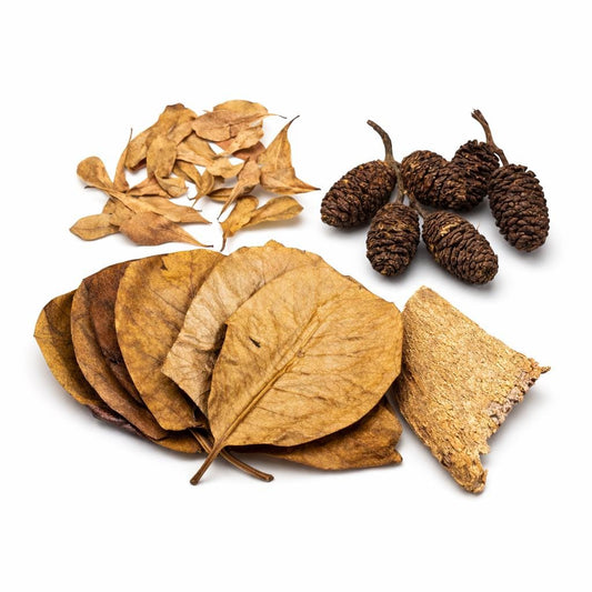 Betta botanical bundle Indian almond leaves alder cones bark aquarium tannins blackwater aquarium kit