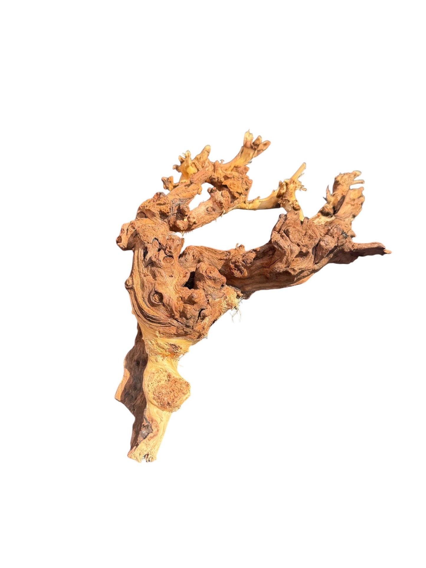 Mopani Wood Driftwood Pack (3 or 5 Pieces) – Aquarium Wood for Aquascaping, Fish Tank Decor, Betta & Shrimp Tank Hardscape