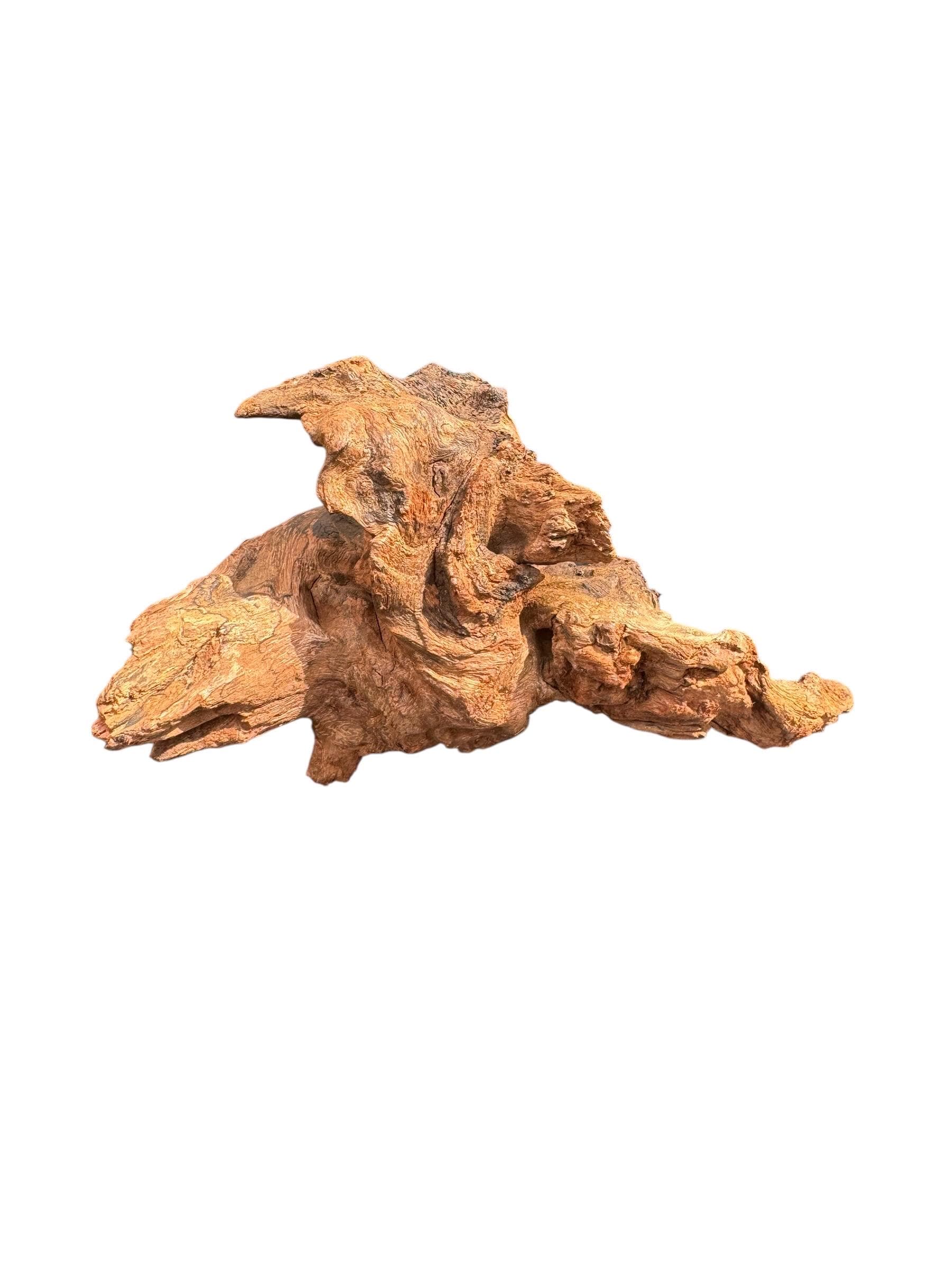 Mopani Wood Driftwood Pack (3 or 5 Pieces) – Aquarium Wood for Aquascaping, Fish Tank Decor, Betta & Shrimp Tank Hardscape
