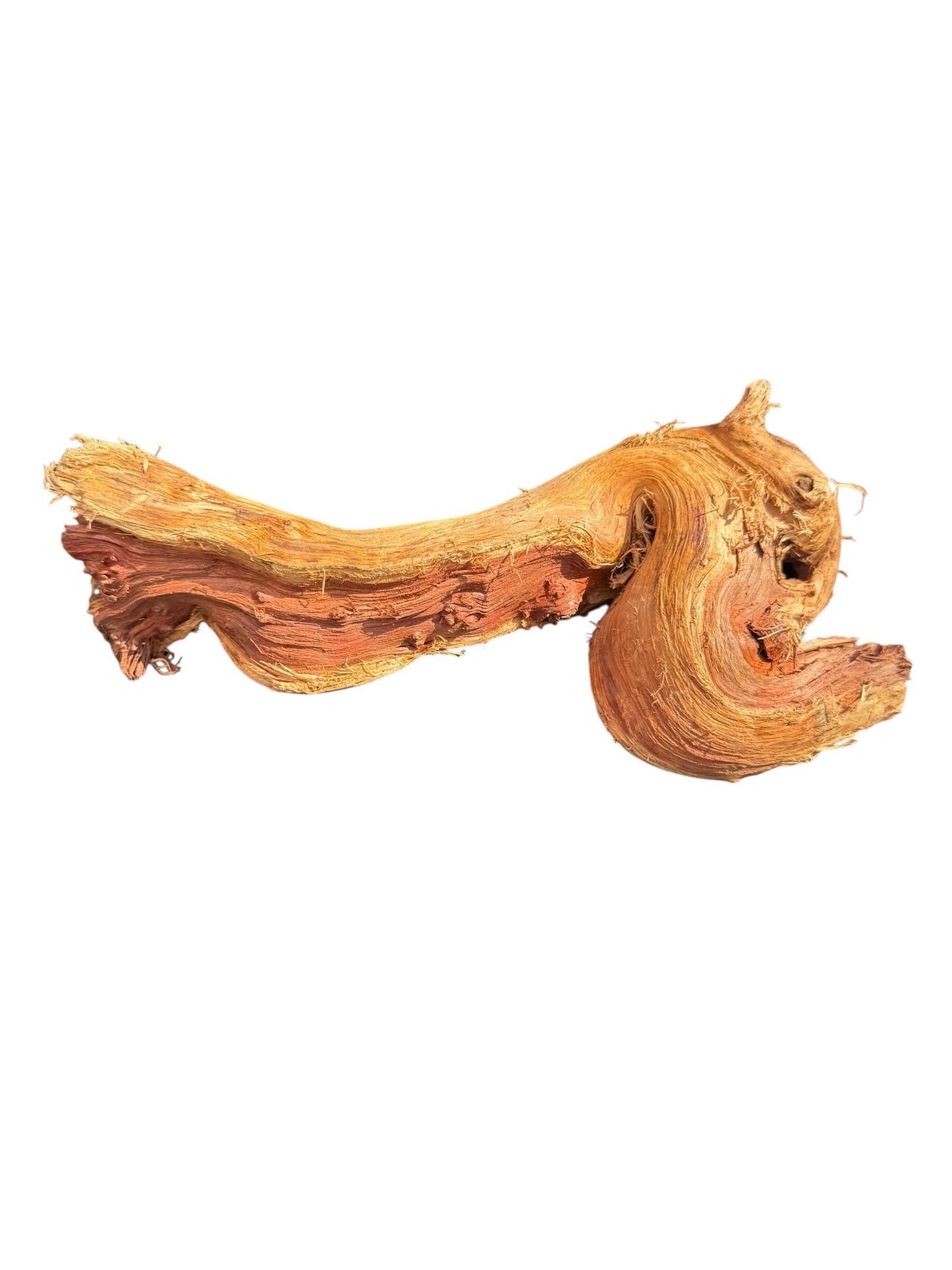 Mopani Wood Driftwood Pack (3 or 5 Pieces) – Aquarium Wood for Aquascaping, Fish Tank Decor, Betta & Shrimp Tank Hardscape