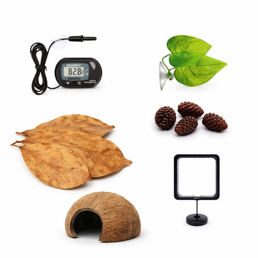 Betta essentials kit with almond leaves alder cones coconut cave thermometer feeding ring aquarium starter bundle