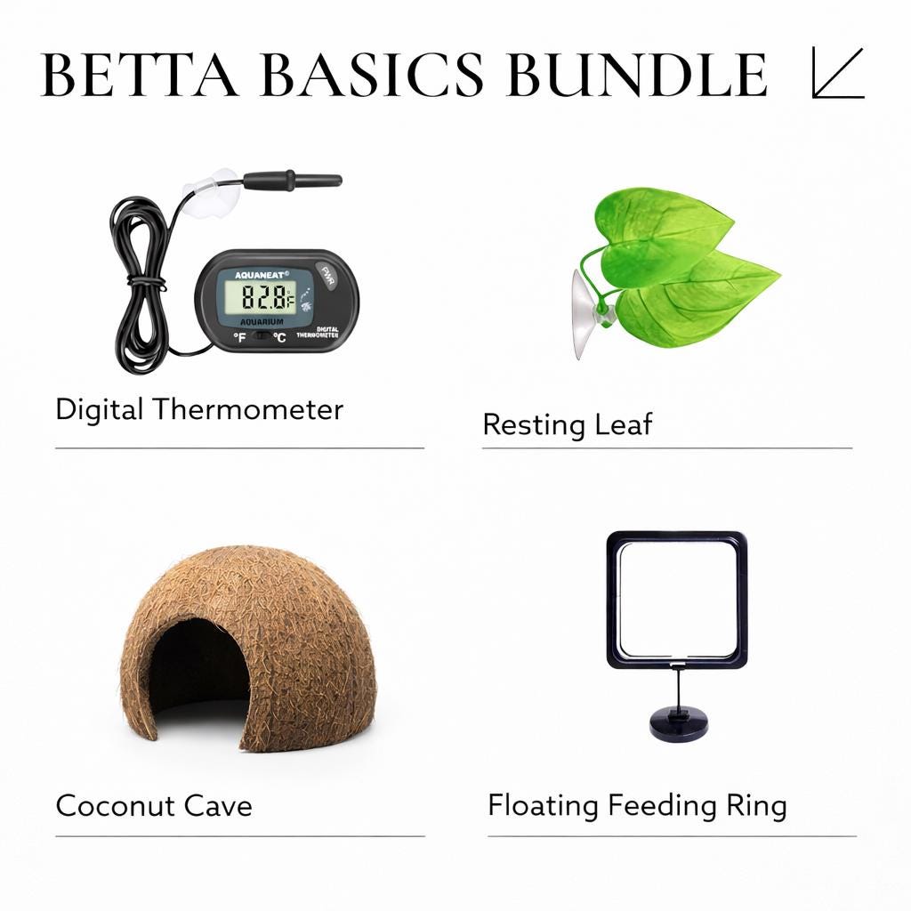 Complete betta aquarium kit with botanicals cave thermometer feeding ring natural tank setup for betta fish