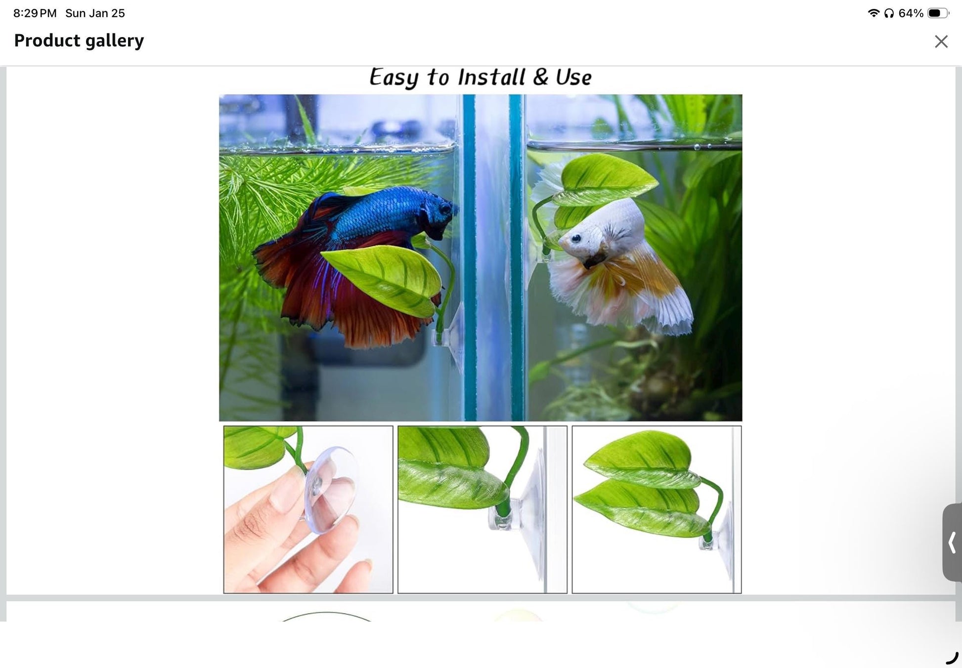 Betta fish starter bundle almond leaves alder cones cave feeding ring thermometer aquarium essentials kit