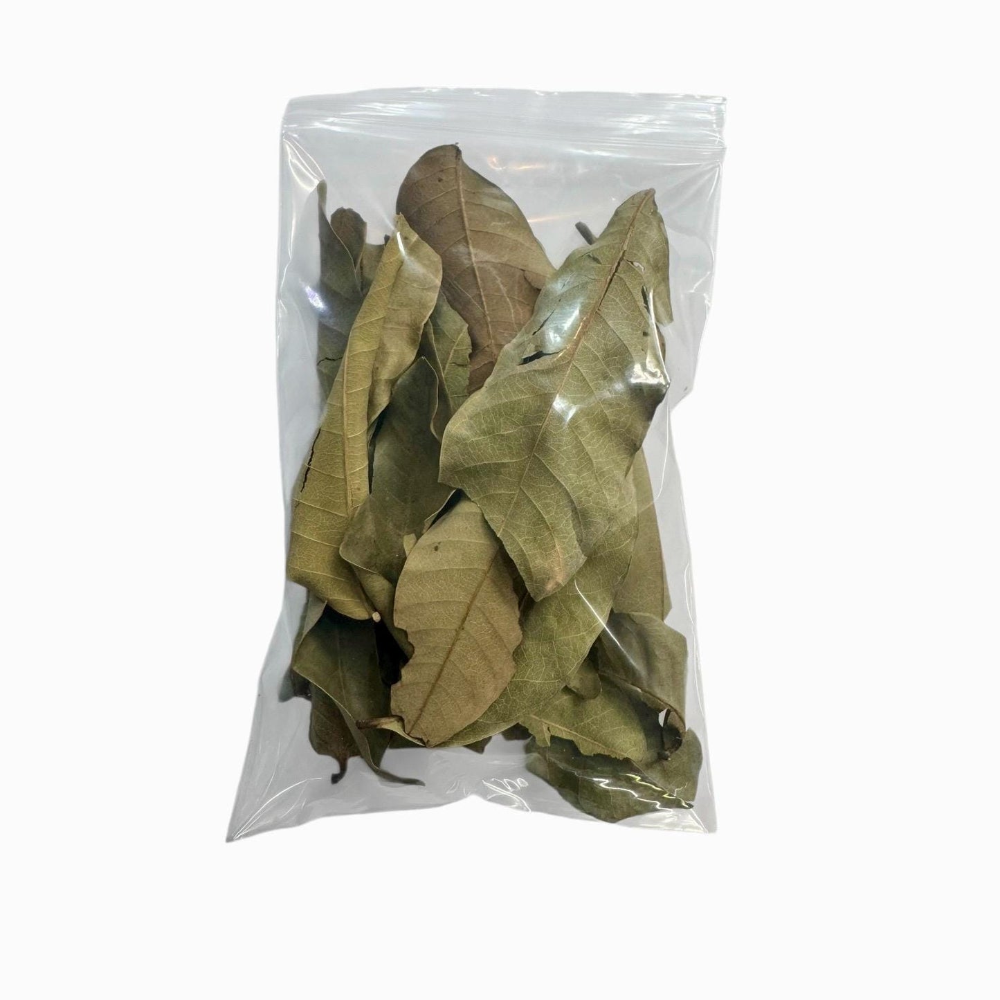 Longan Leaves 20-80 Pack | Blackwater Aquarium Leaf Litter for Betta, Shrimp, Fish Tank Botanicals