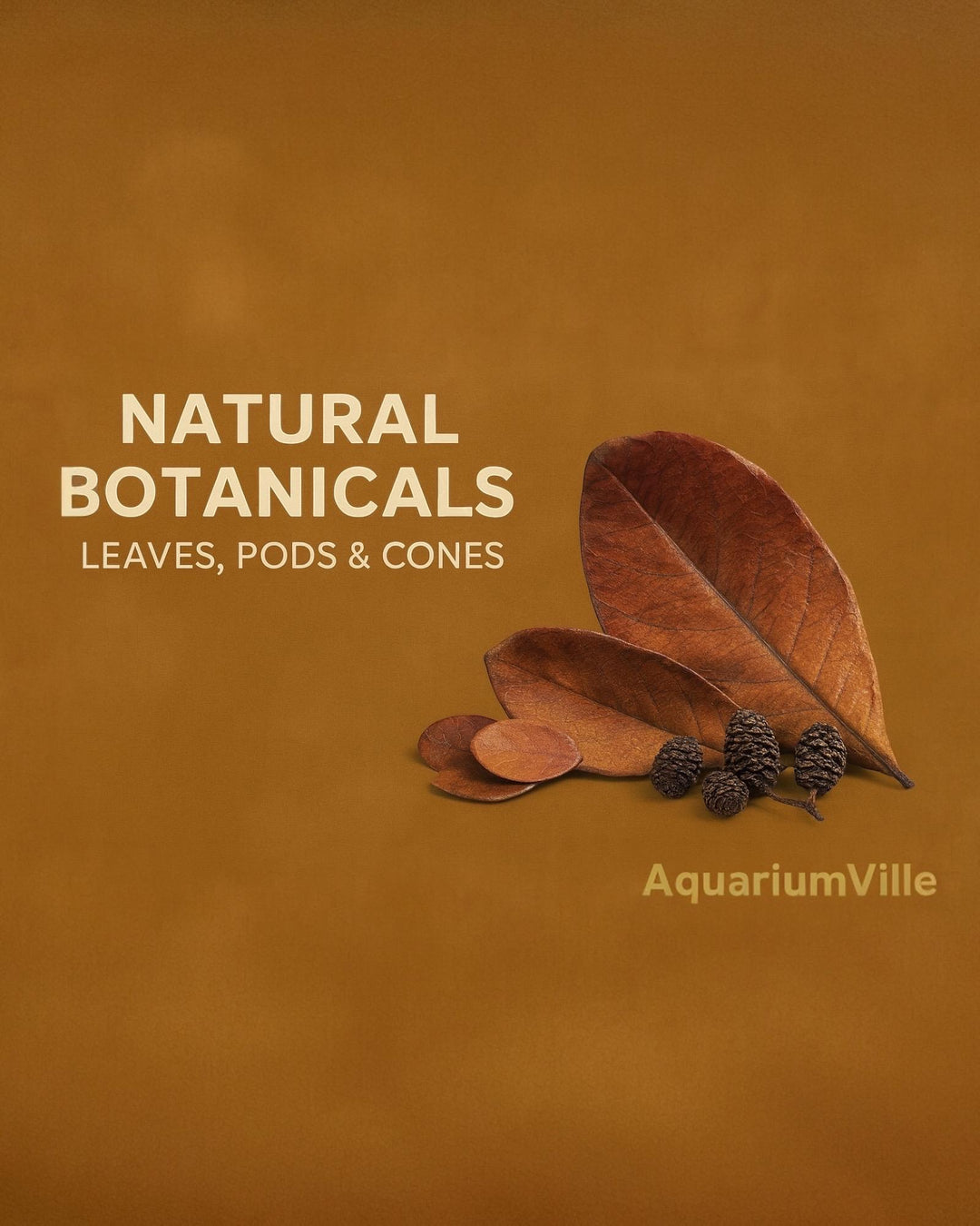 Natural aquarium botanicals featuring dried Indian almond leaves, mini leaves, and alder cones arranged on a warm brown background.