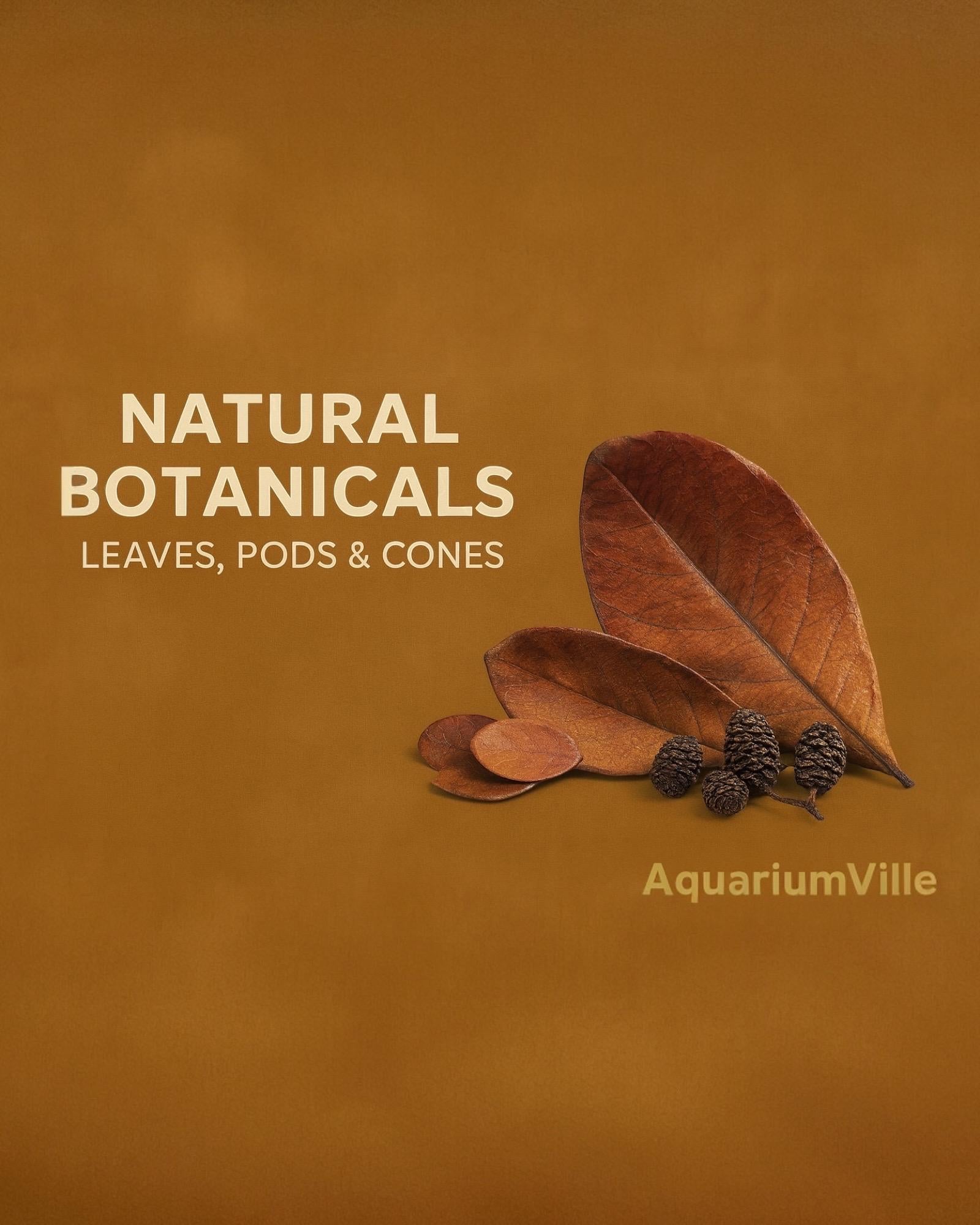 Natural aquarium botanicals featuring dried Indian almond leaves, mini leaves, and alder cones arranged on a warm brown background.