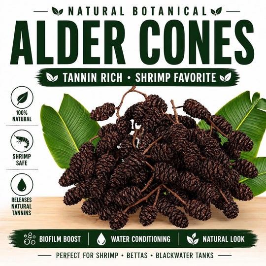 Alder cones for aquariums with natural tannin benefits, shown with green leaves and labels for shrimp-safe, biofilm support, and blackwater tanks.