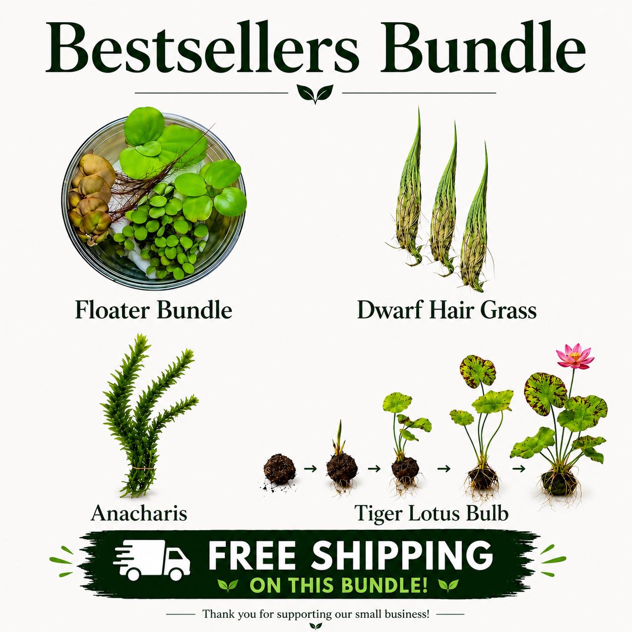 Live Aquarium Plant Bundle – Tiger Lotus Bulb, Dwarf Hairgrass, Anacharis & Floating Plants – Bestsellers Bundle