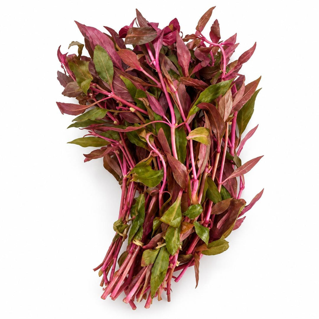 Dense bunch of Scarlet Temple aquarium stems with pink-red stems and mixed red, green, and bronze foliage on white.