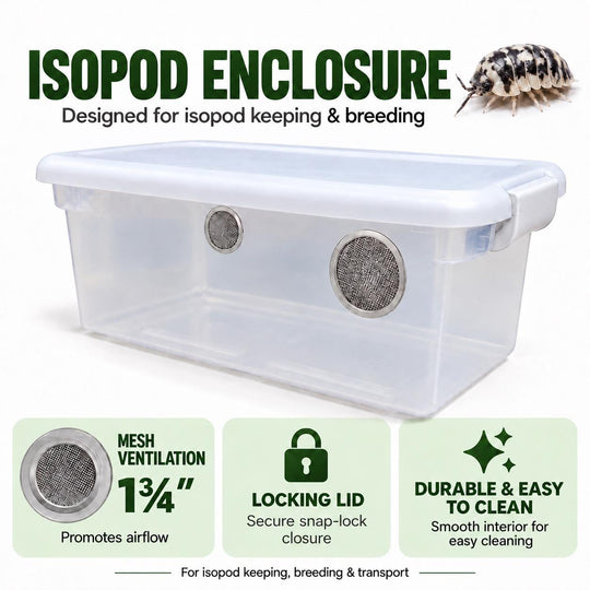 Isopod Enclosure with Locking Lid &amp; Mesh Ventilation – Breeding and Culture Bin
