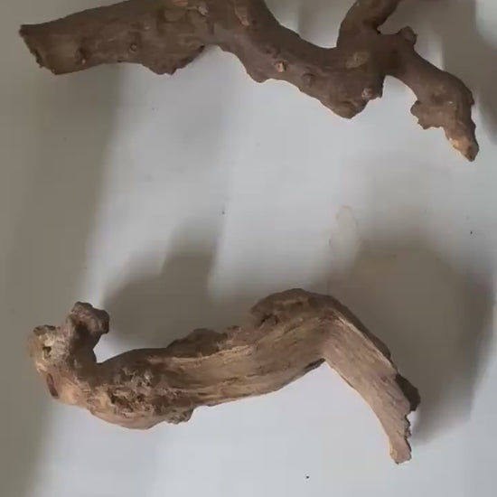 Coral Driftwood Small Size – Natural Aquarium Driftwood for Aquascaping, Betta & Shrimp Tanks, Nano Aquariums |