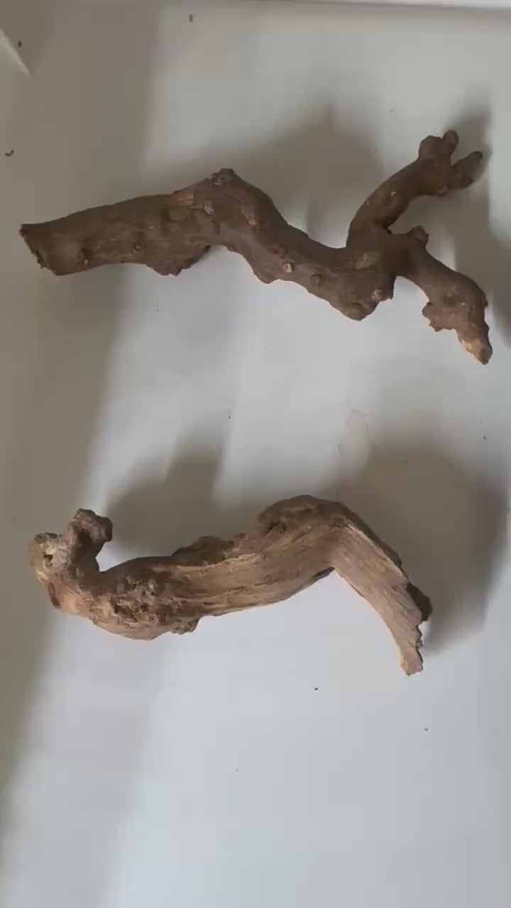 Coral Driftwood Small Size – Natural Aquarium Driftwood for Aquascaping, Betta & Shrimp Tanks, Nano Aquariums |