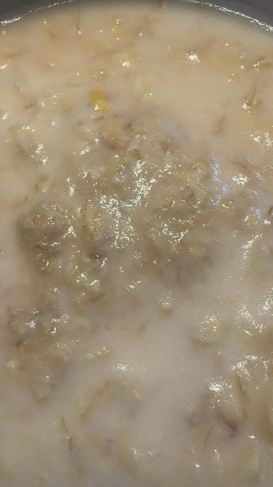 BOGO Starter Microworm Culture