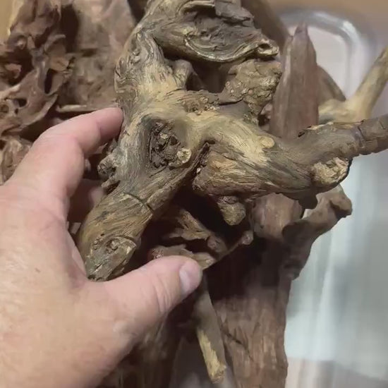 Mopani Wood Driftwood Pack (3 or 5 Pieces) – Aquarium Wood for Aquascaping, Fish Tank Decor, Betta & Shrimp Tank Hardscape