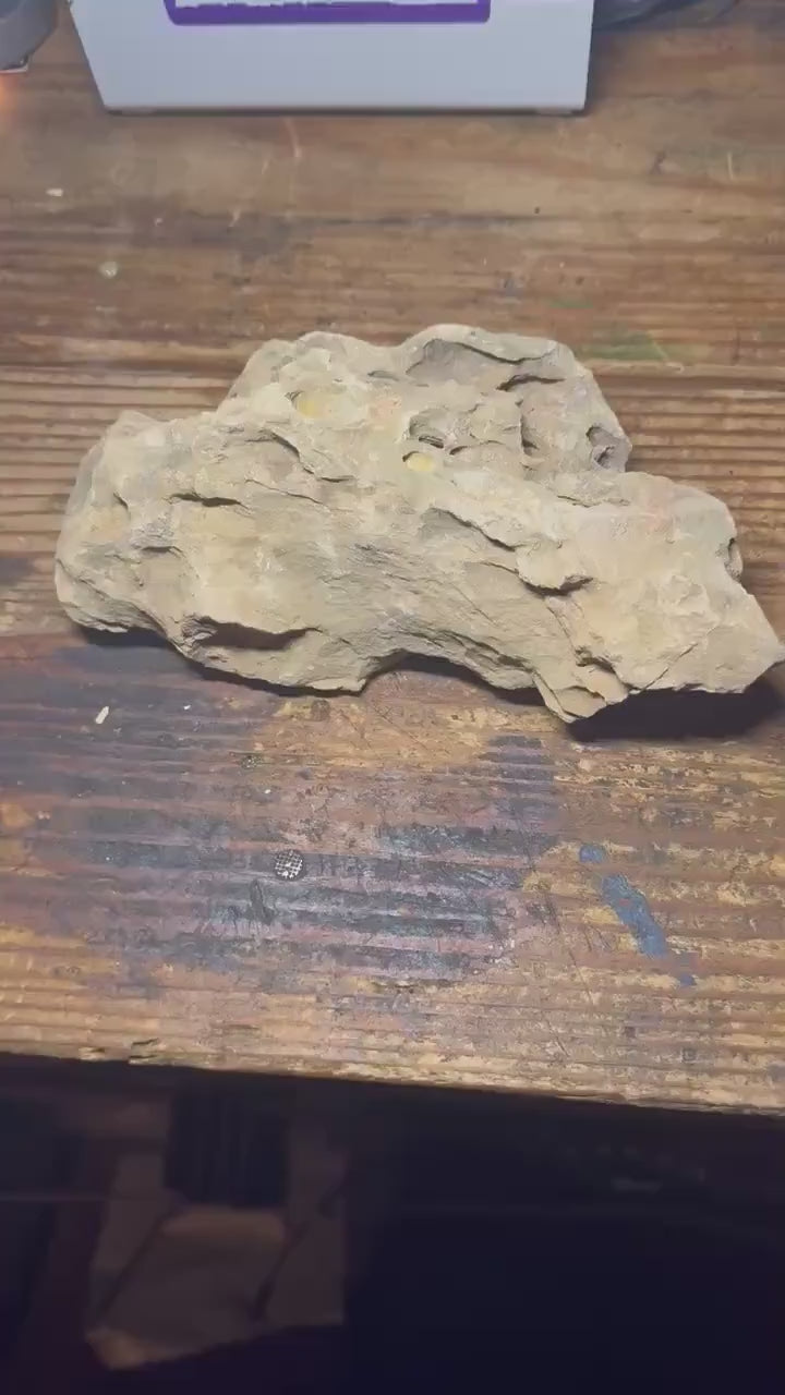 8.5 inch Dragon Stone (Ohko Stone) – Natural Aquarium Rock for Aquascaping 2.47 Pounds